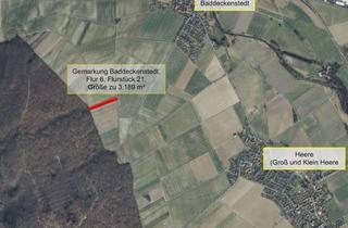 Gewerbeimmobilie kaufen in Vorbusch, 38271 Baddeckenstedt, Acker-, Grünland- und/oder Ausgleichsfläche im Bereich Vorbusch in Badeckenstedt zu verkaufen!