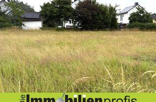 Grundstück zu kaufen in 95234 Sparneck, Schönes Baugrundstück am Fuße des Waldsteins