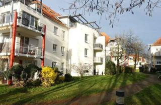 Wohnung mieten in Rathenaustraße 10A, 04416 Markkleeberg, große helle 1,5-Zi.-Wohnung im 1. OG in Markkleeberg