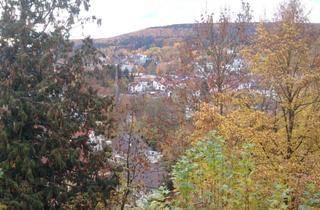 Wohnung mieten in Romsthaler Str. 64, 63628 Bad Soden-Salmünster, Sonnige 2-Zimmer-Wohnung mit Balkon und Einbauküche in Bad Soden-Salmünster