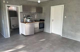 Wohnung mieten in Am Riedberg 22, 97274 Leinach, Attraktive 2-Zimmer-Souterrain-Wohnung in Leinach