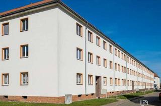 Wohnung mieten in Sickingenstraße, 39108 Stadtfeld Ost, Exklusive Dachgeschoss-Wohnungen in Stadtfeld Ost - jetzt fertig!