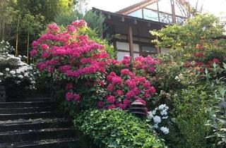 Haus mieten in Forchenrainstraße 31, 70839 Gerlingen, Japanhaus in Gerlinger Höhenlage