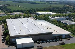 Gewerbeimmobilie mieten in 04720 Döbeln, Exklusiv im Alleinauftrag! Lager-/Produktionshalle mit diversen Krananlagen nahe der A14