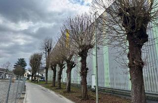 Gewerbeimmobilie kaufen in Südstraße 47, 51645 Gummersbach, Vollautomatisiertes Hochregallager mit 12.432 Palettenplätzen