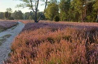 Grundstück zu kaufen in 21256 Handeloh, Naturparadies am Büsenbachtal