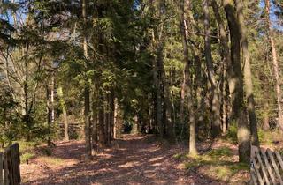 Grundstück zu kaufen in 21629 Neu Wulmstorf, Großzügiges Baugrundstück in naturnaher Lage mit Entwicklungspotenzial.