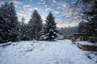 Grundstück zu kaufen in 21244 Buchholz, Großzügiges Baugrundstück mit Entwicklungspotenzial am Naturschutzgebiet
