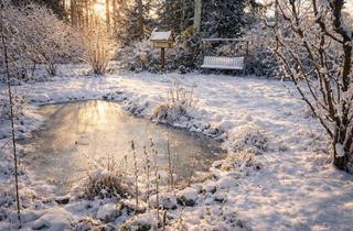 Grundstück zu kaufen in 16348 Wandlitz, Grundstück mit Atmosphäre – Finnhütte als Übergang, Neubau als Perspektive