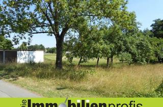 Grundstück zu kaufen in 95194 Regnitzlosau, Nur 24 Euro/ m² ? Grundstück mit 2 Garagen Nähe Regnitzlosau