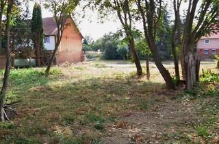 Grundstück zu kaufen in Rudolf-Breitscheid-Str. 39, 38838 Huysburg, 1.060 m² Baugrundstück im Grünen – voll erschlossen & sofort bebaubar