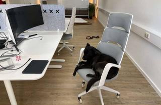 Gewerbeimmobilie mieten in 85748 Garching, Moderner Schreibtischplatz in Garching - All-Inclusive & flexibel