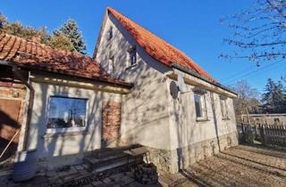 Einfamilienhaus kaufen in 99706 Sondershausen, Sondershausen - Haus mit großem Grundstück zu verkaufen *PROVISIONSFREI*