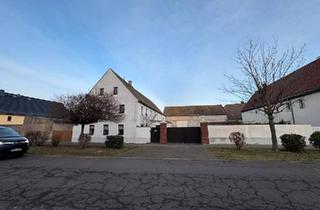 Bauernhaus kaufen in 04828 Bennewitz, Bennewitz - Charmantes Bauernhaus in Bennewitz