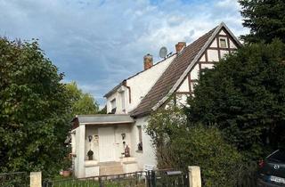 Einfamilienhaus kaufen in 06537 Kelbra, Kelbra (Kyffhäuser) - Gute Gelegenheit am Kyffhäuser - Haus mit Garten & viel Potenzial