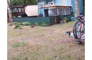 Haus kaufen in 16866 Kyritz, Kyritz - Bungalow und Boot in Zechliner Hütte