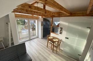 Wohnung mieten in 71686 Remseck, 2 Zi. DG Wohnung voll möbliert mit EBK & Garage