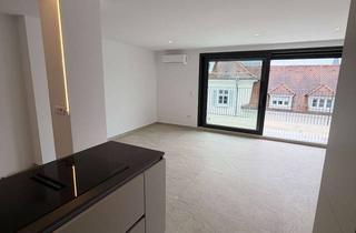 Penthouse mieten in 76133 Innenstadt-West, Exklusives Penthouse mit Luxuriöser Ausstattung und großer Terrasse im Herzen von Karlsruhe