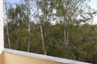 Wohnung mieten in Hüfnermark 1d, 04849 Bad Düben, Helle 2-Raum-Wohnung mit Balkon und Dusche in gepflegter Wohnanlage!