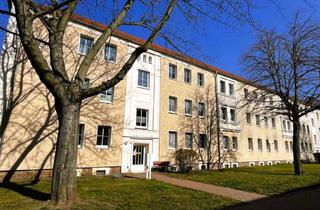 Wohnung mieten in Goethestraße 20, 06242 Braunsbedra, Willkommen im Geiseltal - Wir sanieren für Sie!