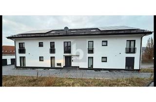 Lofts mieten in 34576 Homberg, EXKLUSIVER NEUBAU MIT LOFT-CHARAKTER!