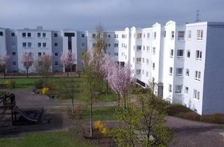 Wohnung mieten in Friedrich-Schlie-Str. 1-29, 19061 Krebsförden, Schöne 1 1/2 Zimmer Wohnung