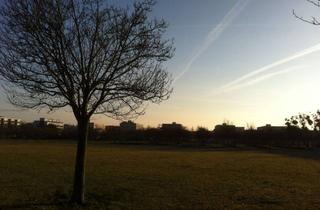 Wohnung mieten in Peter-Behrens-Straße 7-7a, 14469 Bornstedt, Blick in den Wiesen-Park - 2 -Zimmer-Wohnung mit großem Balkon