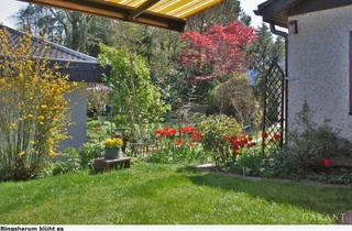 Einfamilienhaus kaufen in 76337 Waldbronn, Freistehendes Einfamilienhaus mit Einliegerwohnung und Photovoltaikanlage