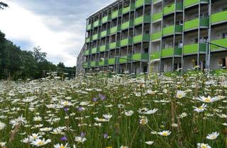 Wohnung mieten in Schillerstraße 23, 08626 Adorf, Komfortable 2-Zimmer-Wohnung mit Südbalkon im modernen Mehrgenerationenhaus