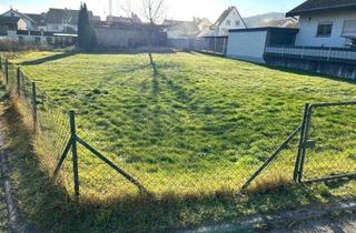 Grundstück zu kaufen in 69231 Rauenberg, Sahnestückchen, superschönes Grundstück in begehrter ruhiger Wohnlage