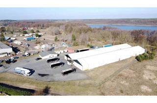 Gewerbeimmobilie kaufen in 16775 Löwenberger Land, Großes Gewerbegrundstück mit Lagerhallen und Büroräumen - Preis VB auch Miete