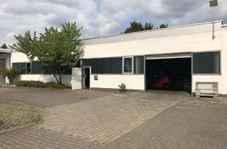 Büro zu mieten in 68519 Viernheim, Vielseitig nutzbare Gewerbehalle mit Büro & Sozialräumen - ca. 527m² zur Miete