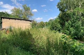 Grundstück zu kaufen in 01683 Nossen, Grundstück mit altem Baumbestand