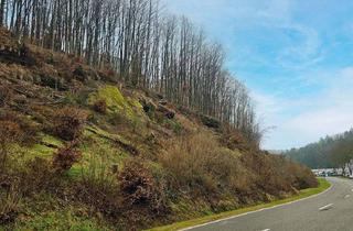 Grundstück zu kaufen in Zwischen Haseneckstraße Und Zeppelinstraße, Flurstücke 1303/4 Und 1303/7, 66953 Pirmasens, Grundstück