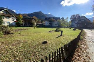 Grundstück zu kaufen in 82431 Kochel, Traumhaftes Grundstück für ein EFH in Kochel am See