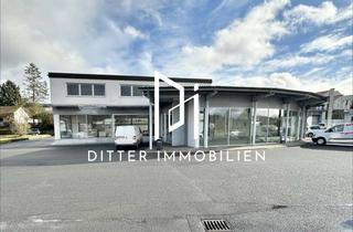 Büro zu mieten in 97941 Tauberbischofsheim, Vielseitige Gewerbefläche in Top-Lage – Ausstellung im EG, Büros im OG