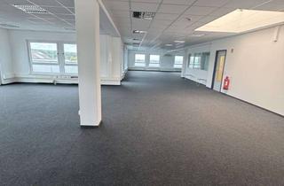 Immobilie mieten in 65719 Hofheim am Taunus, SEIL • Großzügige Gewerbefläche mit einem schönen Außenbereich