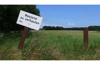 Gewerbeimmobilie kaufen in 38835 Osterwieck, Beräumtes Gewerbegaugrundstück an Ortsausgangsstraße