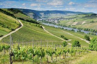 Gewerbeimmobilie kaufen in Flur 38, Flurstück 43, 56856 Zell, Weinberg im Moseltal