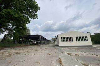 Gewerbeimmobilie kaufen in 15913 Märkische Heide, Großes Gewerbegrundstück mit 2 Hallen und modernisierten Büros