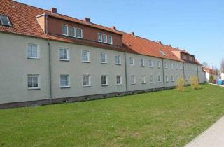 Wohnung mieten in Damaschkeweg 36, 18437 Tribseer Siedlung, Gemütliche altersfreundliche Erdgeschosswohnung