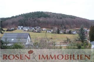 Wohnung mieten in 64689 Grasellenbach, 2 ZKB im Luftkurort