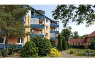 Wohnung mieten in Greppiner Straße, 06766 Bitterfeld-Wolfen, Seniorenfreundliche Wohnung in parkähnlicher Anlage mit Fahrstuhl