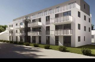 Penthouse mieten in Adlerstraße 20, 77948 Friesenheim, Erstbezug: 2-Zimmer-Penthouse-Wohnung mit EBK & TG-Stellplatz