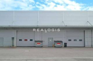 Gewerbeimmobilie mieten in 63584 Gründau, Lager/ Produktion - Anbindung an die A66 - 7,00 - 8,60 m UKB