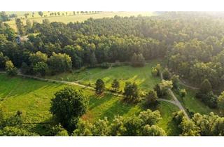 Anlageobjekt in 16827 Alt Ruppin, 20.000 qm Landfläche für Weiterentwicklung in Birkenhorst OT Krangen