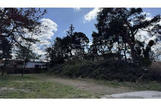 Grundstück zu kaufen in 14641 Wustermark, größer-preiswerter, Baugrund Nähe Schule Elstal – Wustermark