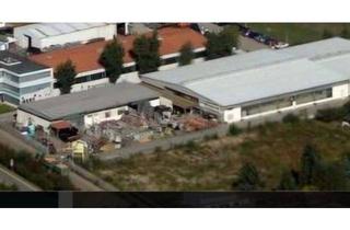 Gewerbeimmobilie mieten in 68623 Lampertheim, Top-Verkaufsfläche für E-Scooter in Lampertheim – Synergien mit Seniorenmobilen - ELEKTROROLLER