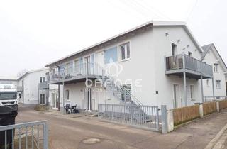Wohnung kaufen in 89407 Dillingen, Dillingen an der Donau / Hausen - *** DillingenHausen: Modernes 1,5 Zi.-Wohlfühl-Domizil - lichtdurchflutet und kernsaniert mit Terrasse und Stellplatz ***