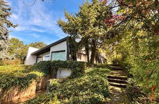 Villa kaufen in 96253 Untersiemau, Untersiemau - Architektenhaus mit offenem Wohnkonzept - Renovieren statt Neubau